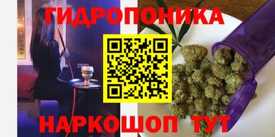 PSILOCYBIN Будённовск