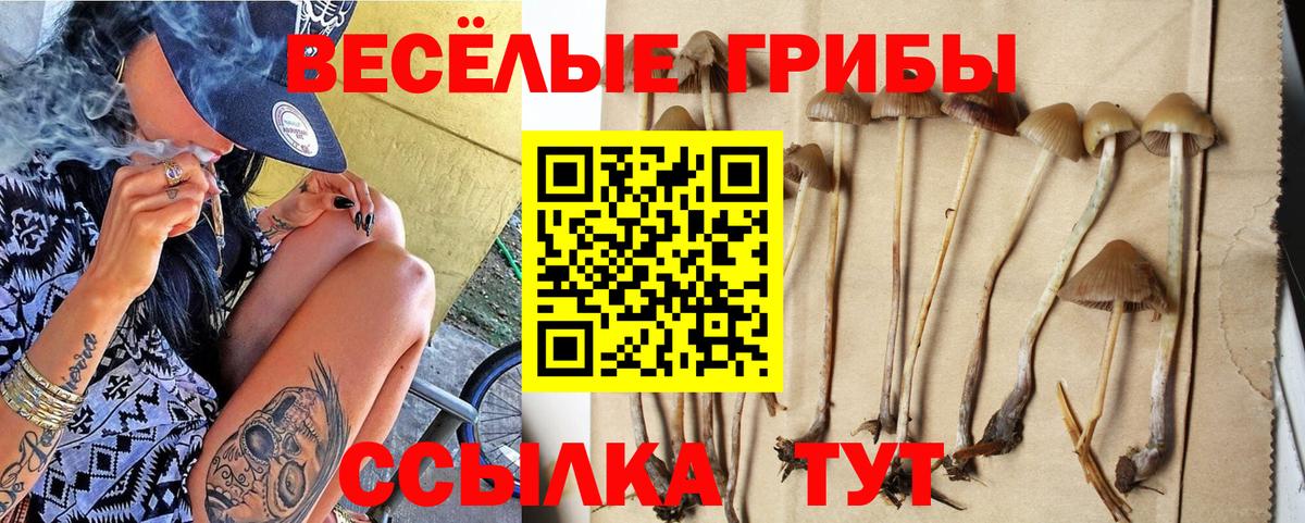 Псилоцибиновые грибы Psilocybine cubensis  Вход с VPN  Псилоцибиновые грибы мухоморы  Верхний Уфалей 