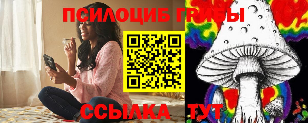 Псилоцибиновые грибы Cubensis Верхний Уфалей